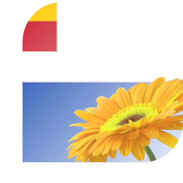 Bloemen Bezorgen Duiven